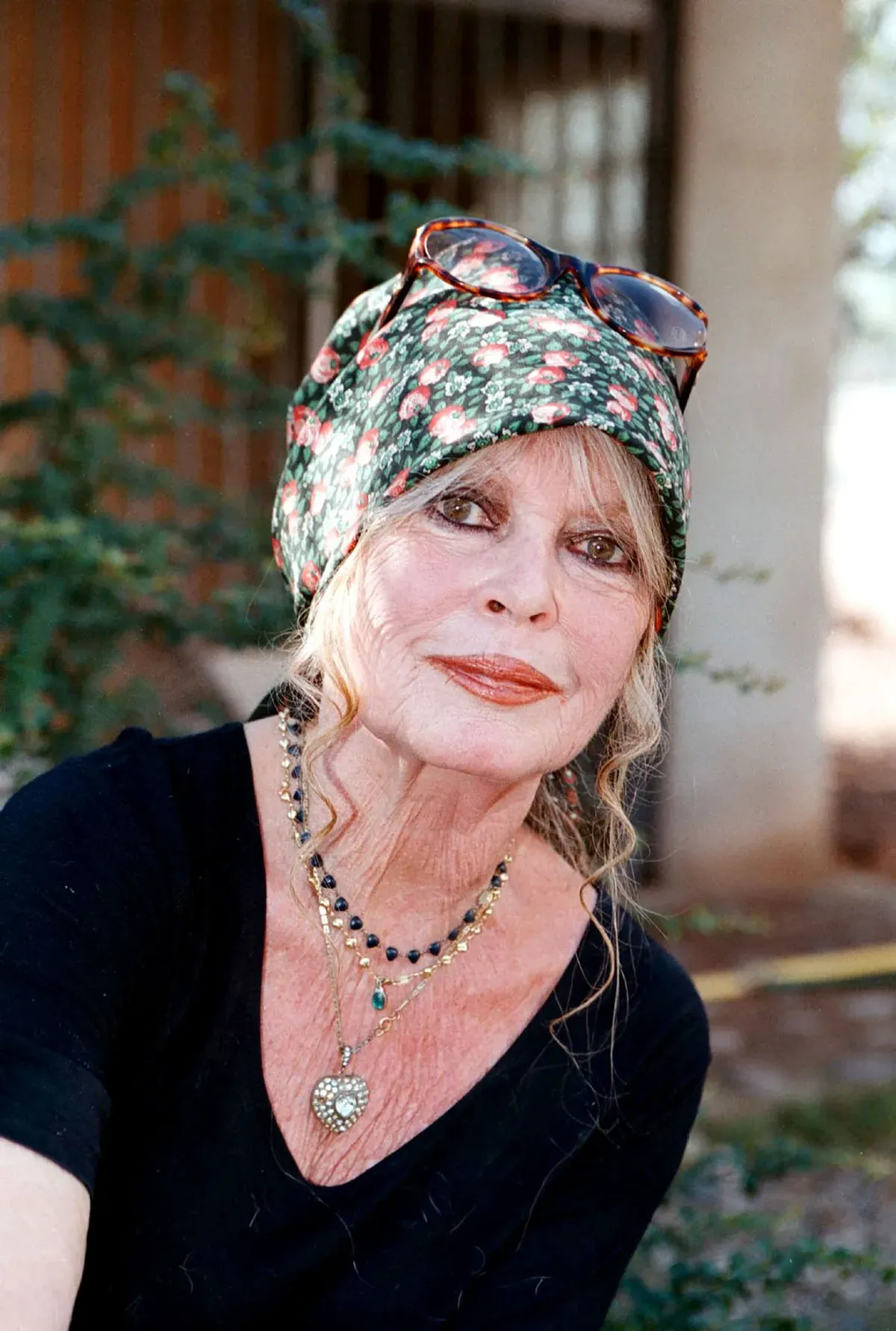 Brigitte Bardot | Photo : Getty Images