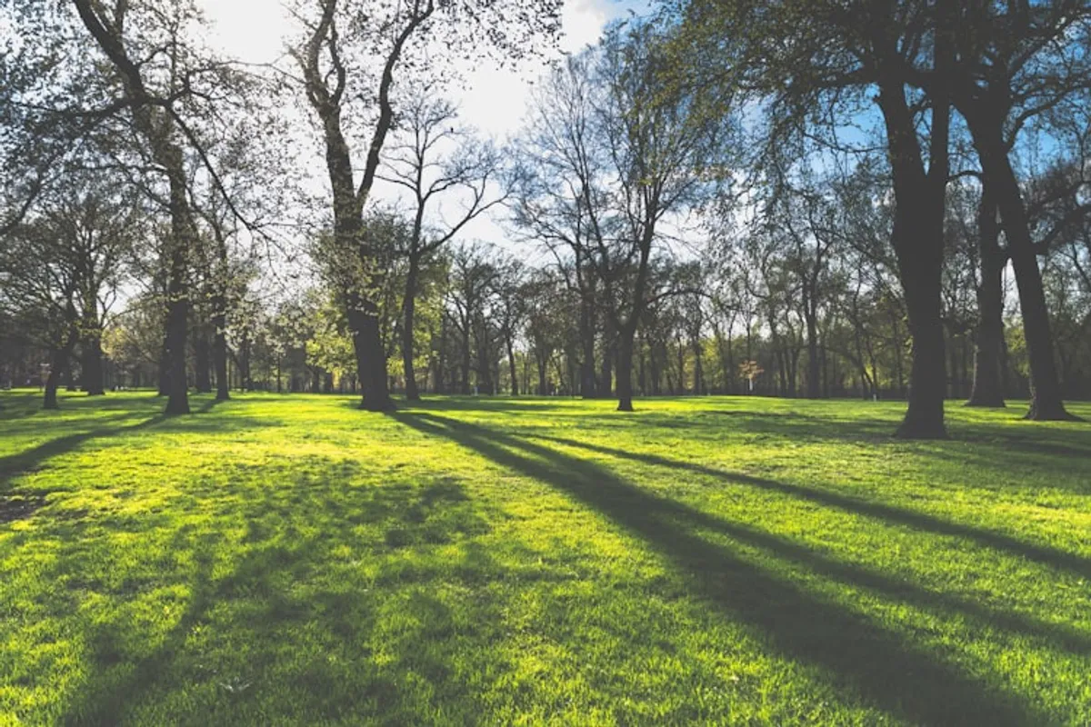 Un parc. | Photo : Unsplash