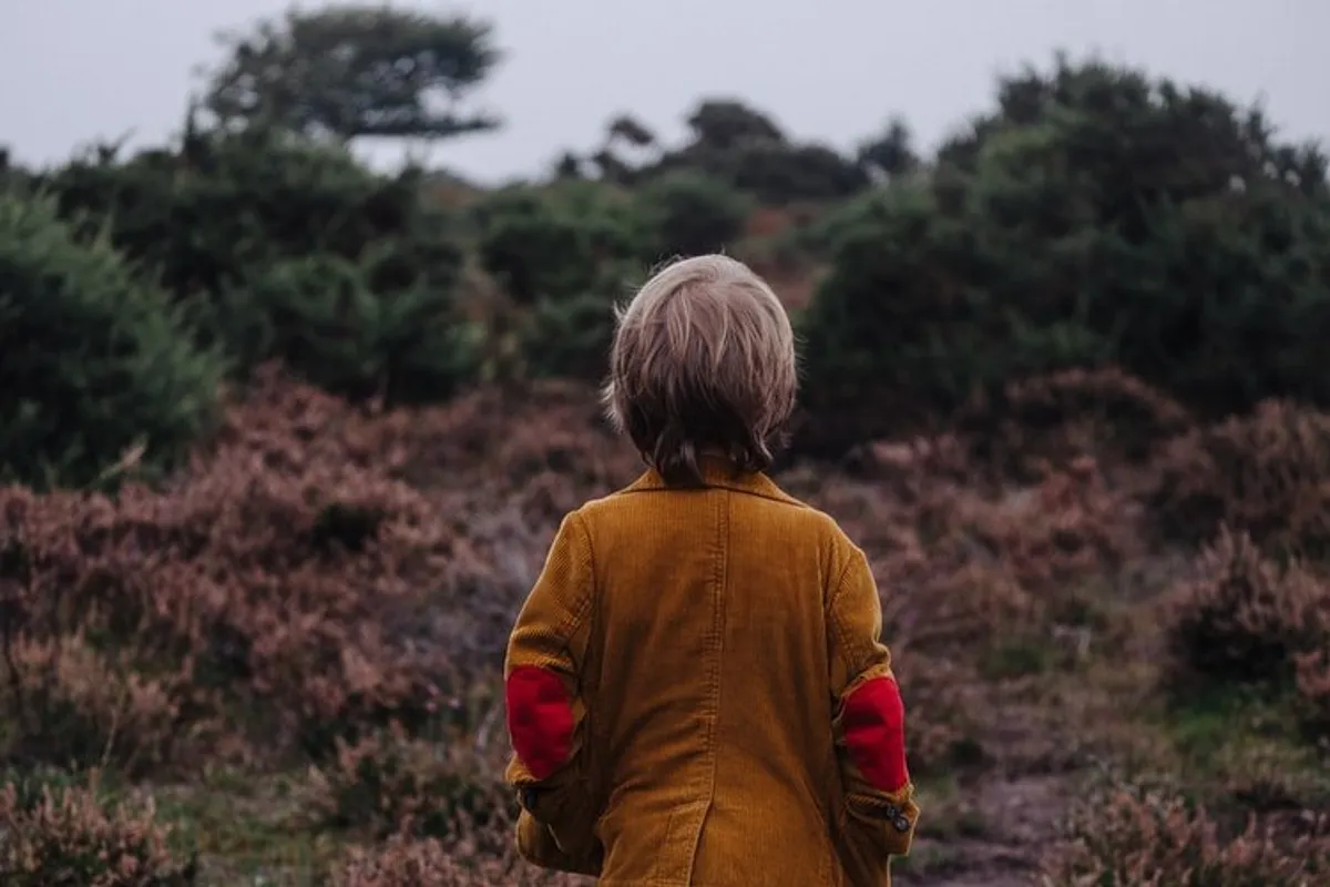 Un petit garçon dans la forêt. | Photo : Unsplash