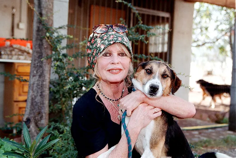 Brigitte Bardot, militante des droits des animaux, visite son refuge pour chiens "The Nice Dogs" de Carnoules le 7 octobre 2001 à Paris, France. | Photo : Getty Images