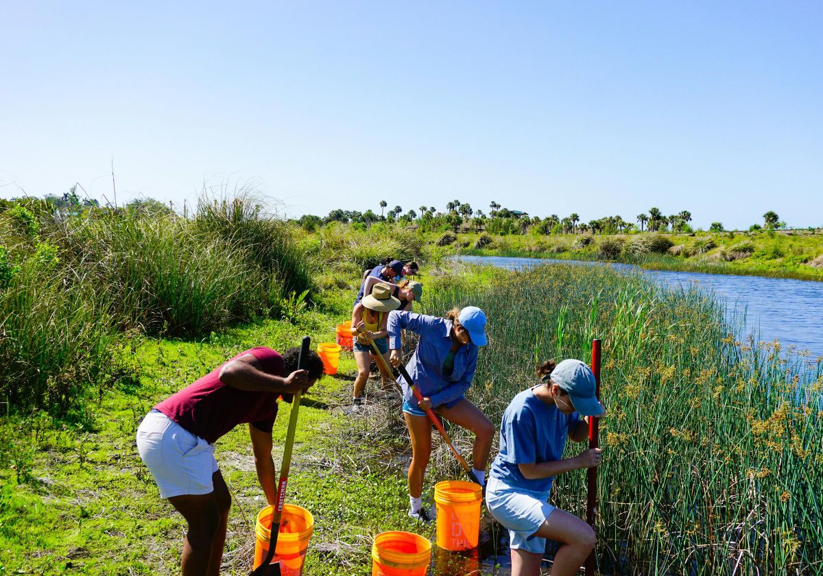 Volunteer-Led Beautification Projects Revive Local Parks