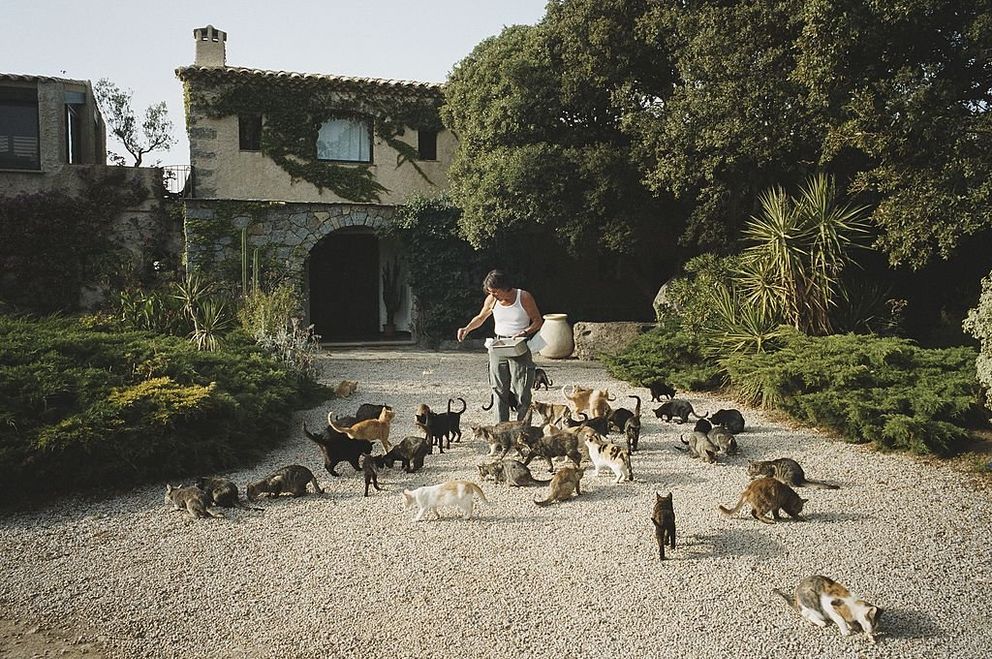 Jacques Dutronc dans sa propriété de Monticello en Haute-Corse. | Photo : Getty Images