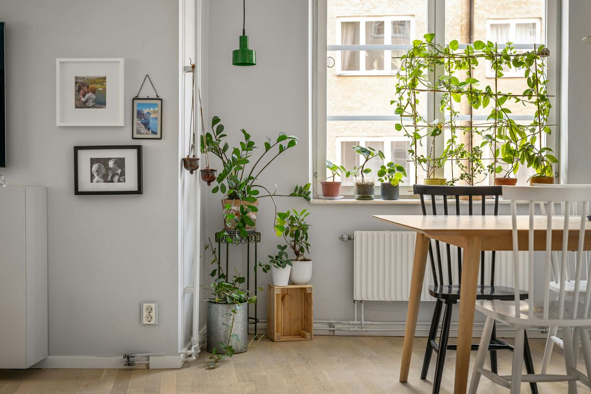 Curated visual reference: Visual Reference: Simple Steps For Eco Friendly Home Improvements