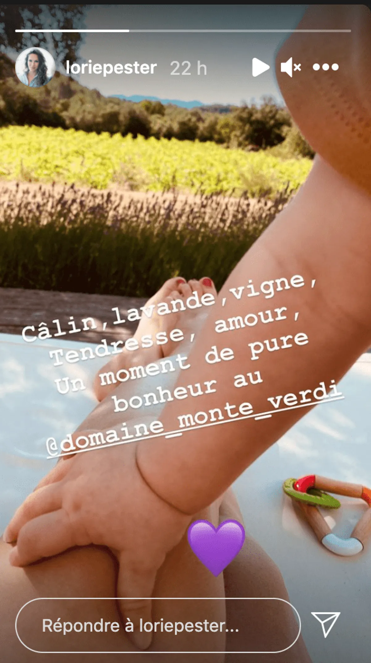 Capture de la story Instagram. | Photo : loriepester